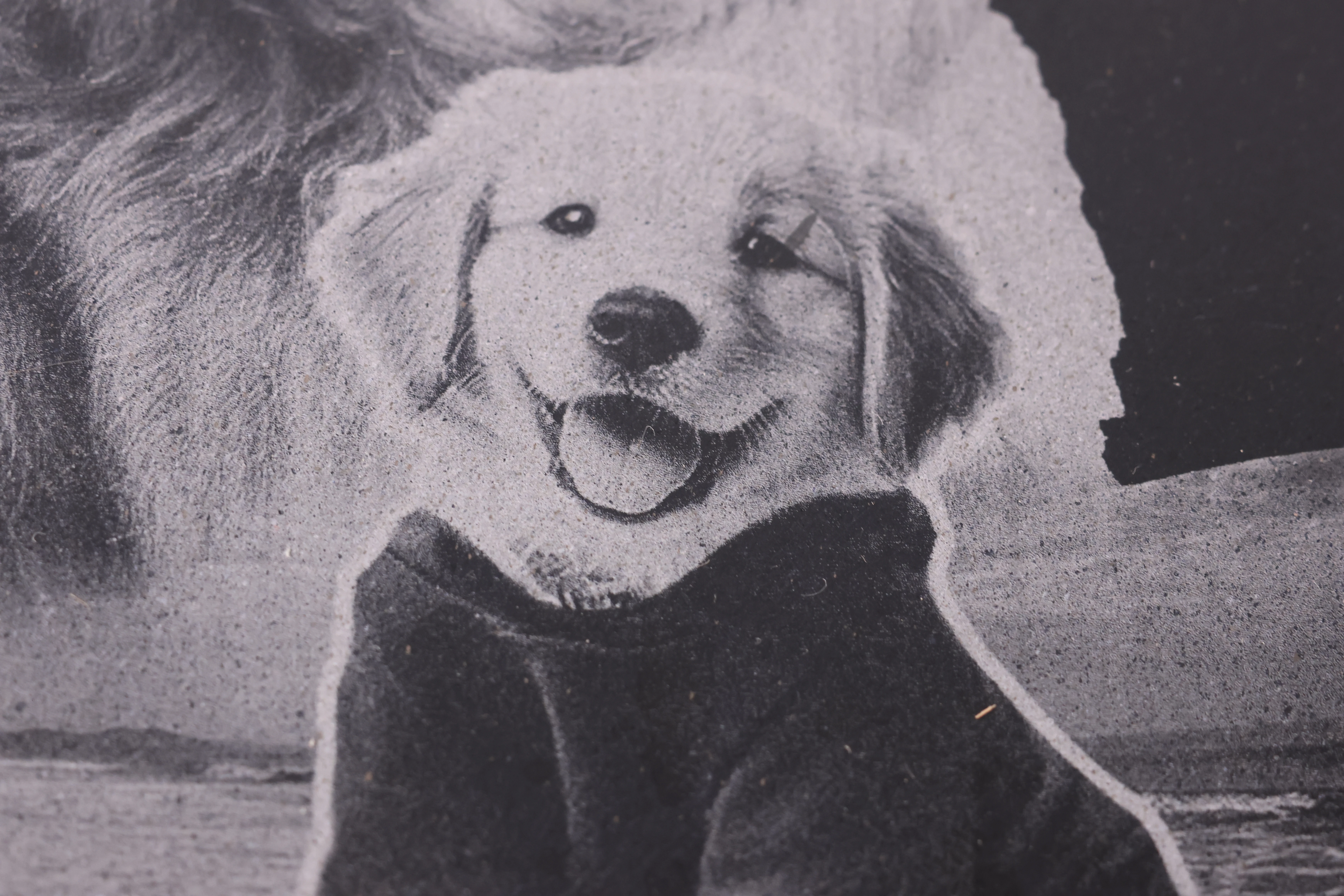 Image de chien gravée au laser sur marbre avec de grands detals