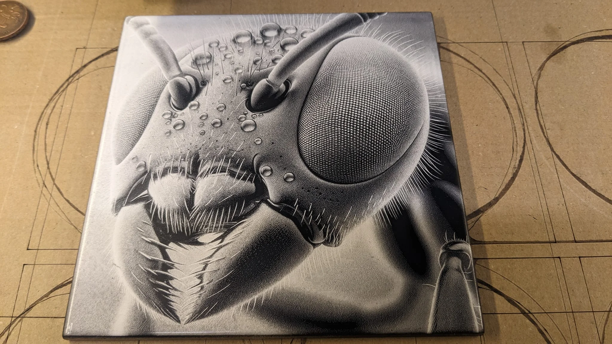 laser engraved photo on ceramic