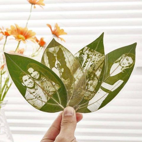 laser engraved leaves